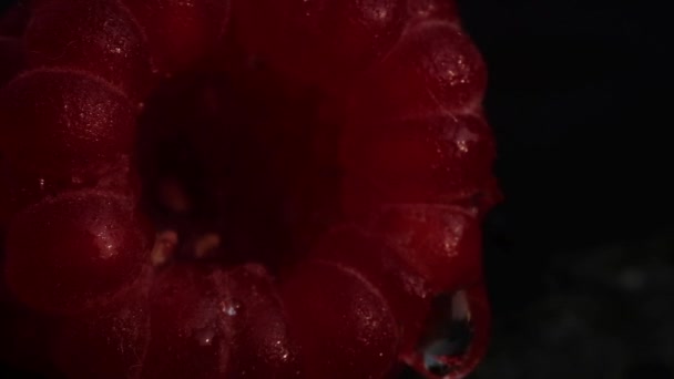 Macro Ripe Red Juicy Raspberries Which Slowly Drips Drop Dew — Stock Video