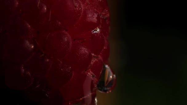 Fotografia Macro Bagas Framboesa Suculentas Vermelhas Maduras Nas Quais Duas — Vídeo de Stock