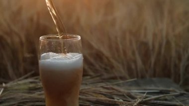 Hafif serin bira şeffaf cam kupa içine büyük dere dökülür. Köpük güzel beyaz kap kenarına yükselir. cam bir alanda ahşap masa üzerinde duruyor, akşam gün batımı arka plan karşı.