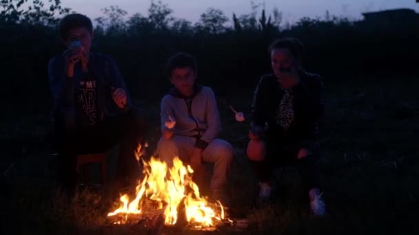 Kaukasiska Mor Och Två Söner Sitter Lägerstolar Vid Den Flammande — Stockvideo