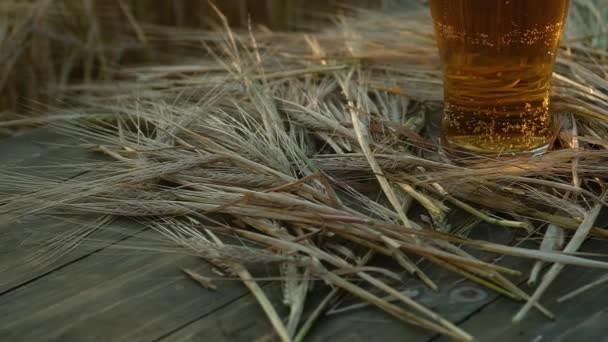 淡い黄色のビールのマグカップは 小麦畑の木製のテーブルの上に座っています グラスの中にふわふわの白い泡 背景には 風が小麦の茎をかき回す 自然の夕光 パノラマ撮影 — ストック動画