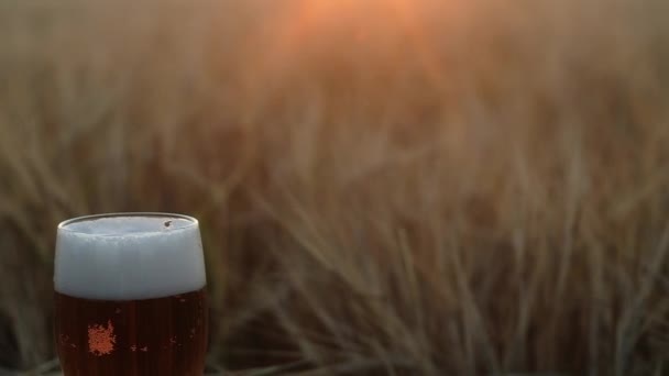 Plano Panorámico Vaso Cerveza Fresca Con Una Esponjosa Tapa Blanca — Vídeo de stock