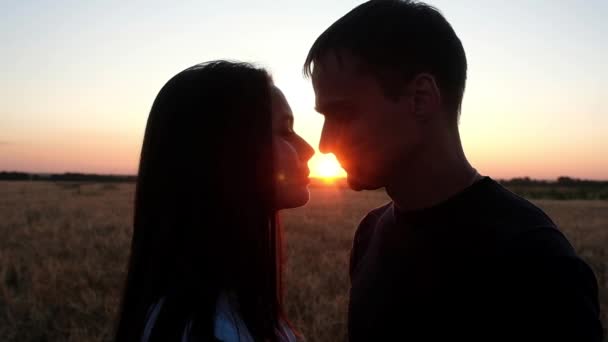 Silueta Una Pareja Enamorada Atardecer Chica Joven Chico Besándose Tarde — Vídeos de Stock