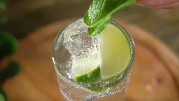 Girl Puts Green Leaf Fresh Mint Cubes Ice Cold Glass — Stock Video