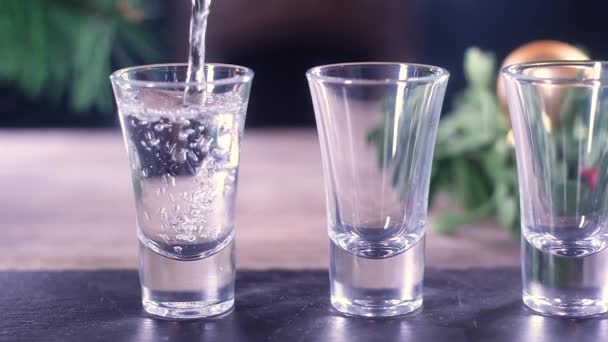Der Barkeeper Gießt Wodka Mehrere Kleine Transparente Gläser Auf Einem — Stockvideo