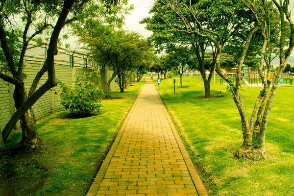 Beautiful Park Path Sunny Day Sun Iluminates Place — Stock Photo, Image