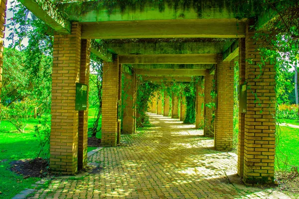 Tropikal Çevre Üzerinde Yaylar Ile Doğa Pasajı — Stok fotoğraf