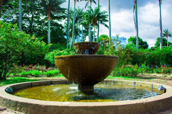 Great fountain in the garden surrounded by nature. Beautiful landscape to travel on vacation and enjoy nature.