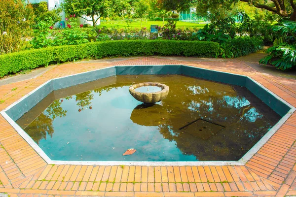 Jardín Exterior Con Arbustos Flores Una Fuente Centro Lugar Tranquilo — Foto de Stock