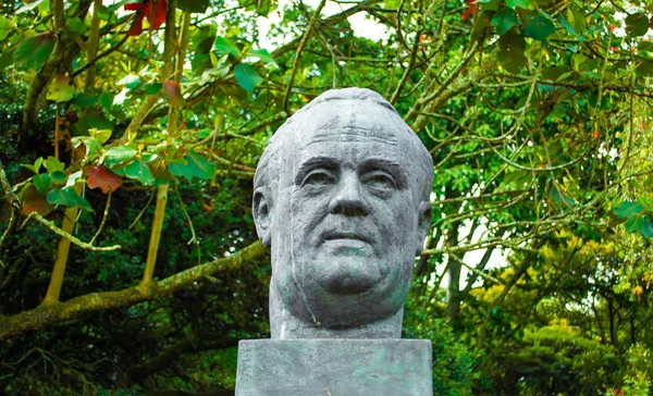 Statue of a man\'s head. Bust of stone surrounded by plants and branches.