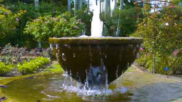 Fonte Água Jardim Cercado Por Árvores Arbustos Flores Bela Paisagem — Vídeo de Stock