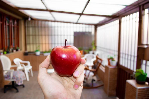 Man\'s hand holding an apple inside the garden