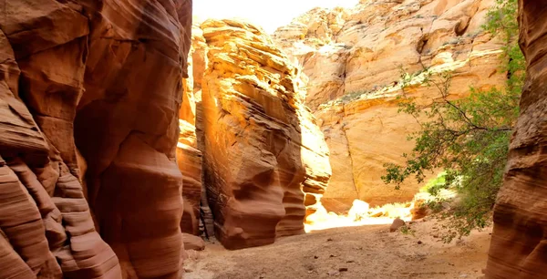 Canyon Tour Montagnes Panorama Nature Images De Stock Libres De Droits