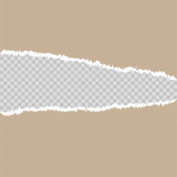 torn paper mock up blank space vector