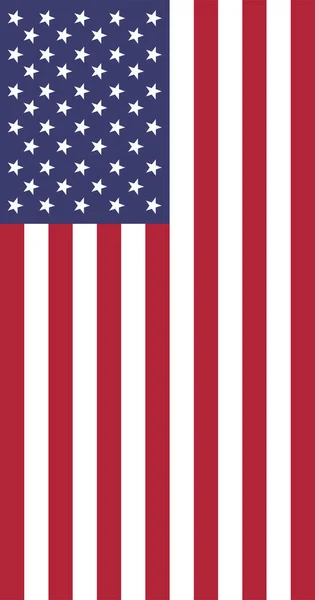 USA nationale vertikale Flagge korrekte Größe Farbe — Stockvektor