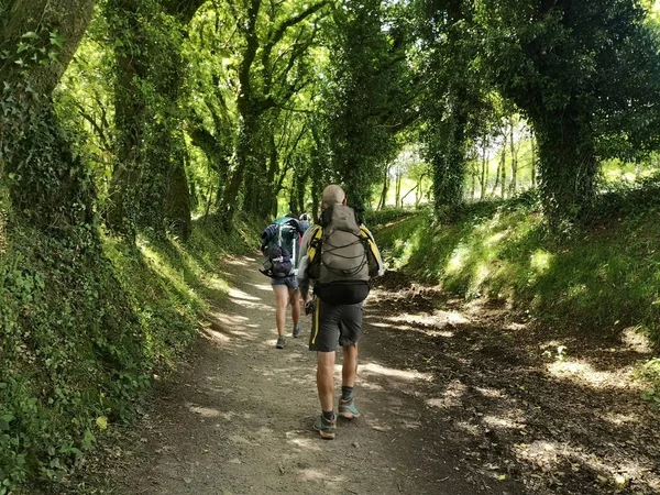 pilgrims walk in wild nature forest on the way of Santiago de compostela