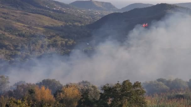 Service d'incendie hélicoptère travaillant sur la sauvegarde de la nature, urgence 4k — Video