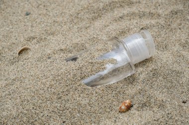 Plastik el dezenfektanı, deniz kıyısındaki tek kullanımlık tıbbi çöpler, koronavirüs covid kirliliği hastalığı, kirli ekosistem