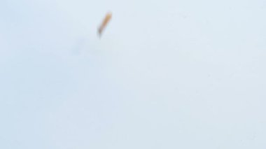 Kullanılmış sigara izmaritleri beyaz yüzeye düşerken ağır çekimde sigara bağımlılığını durdurur.