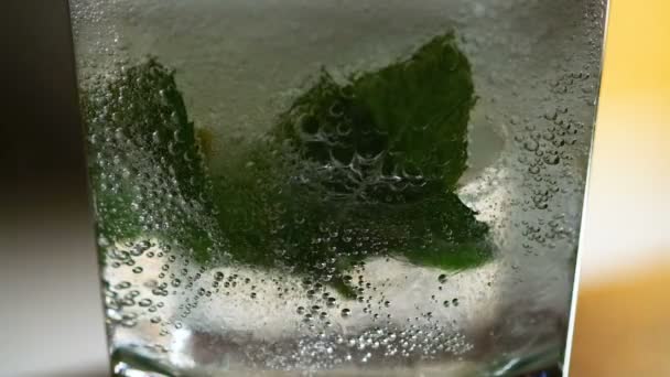 Ανθρακούχο ανθρακούχο νερό με φρέσκα φύλλα δυόσμου, λεμόνι, καλοκαιρινό ποτό — Αρχείο Βίντεο