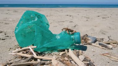 Kirlenmiş kumlu deniz kıyısı ekosisteminde boşaltılmış plastik şişe üzerindeki deniz yengeci