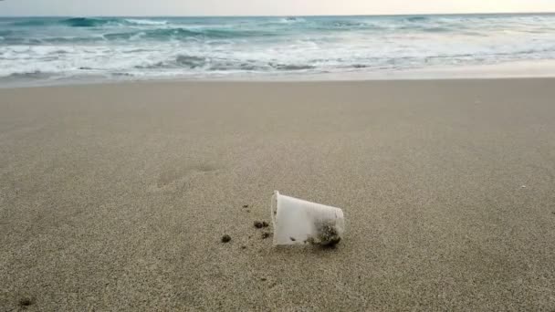 Élimination Déchets de verre plastique sur le littoral sablonneux, nature polluée, coriandre — Video