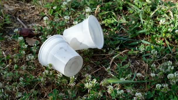 Tasses à café sales en plastique jetables rejetées sur le sol d'herbe, pollution — Video