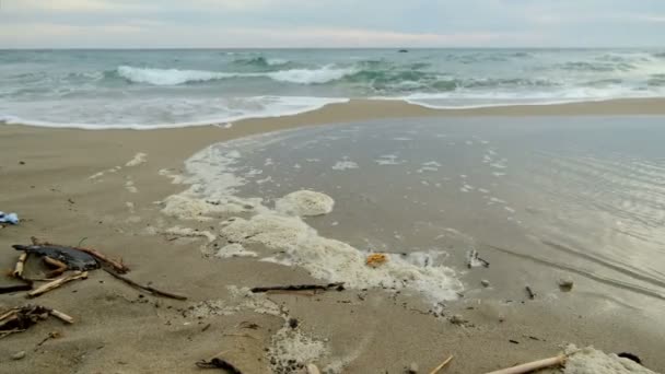 Mousse marine polluée, rejet de déchets chimiques sur l'écosystème océanique, pollution de l'eau — Video