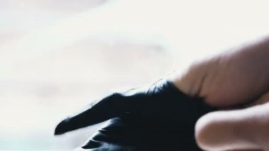 Koruyucu Latex Eldivenleri Giymek, Eller Coronavirus Covid Korunma Eldiveni Giymek