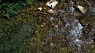 Vahşi dağ manzarasında akan kristal nehir suyu manzarası, cilento, İtalya 