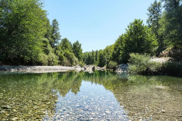 Vahşi su aynası İtalya 'nın başkenti Cilento' daki nehir manzarasını gözler önüne serer.
