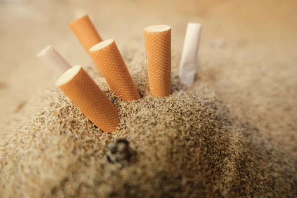 Isolated used cigarette butts discarded on sandy sea beach,ecosystem habitat pollution — Stock Photo, Image