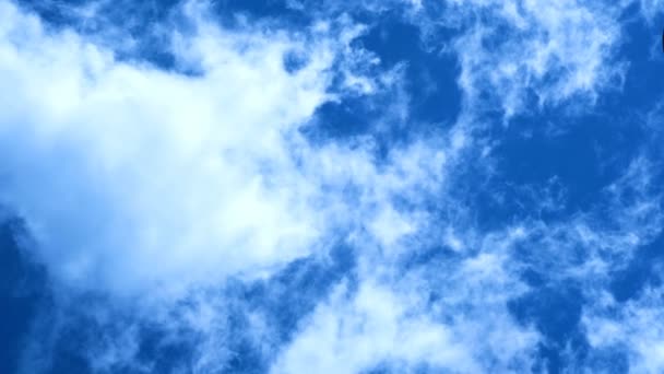 Las golondrinas de verano vuelan sobre nubes azules profundas movimiento del cielo, aves animales acuden 4k — Vídeos de Stock