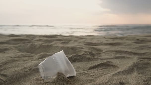 Человек собирает пластиковый стеклянный мусор на морском побережье, убирает загрязнение экосистемы, 4k — стоковое видео
