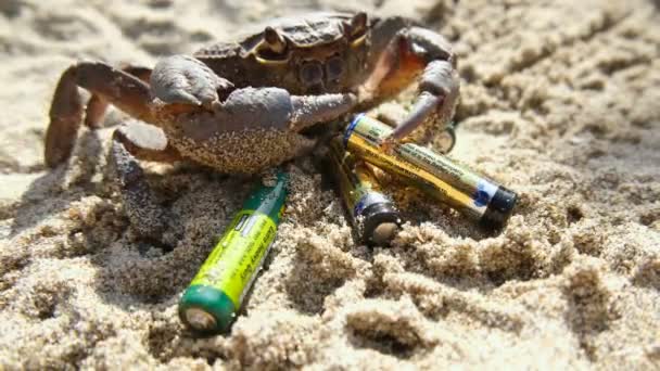 意大利帕利努罗- 2020年9月20日：海蟹在被污染的海滩生态系统上保存废弃锂电池 — 图库视频影像