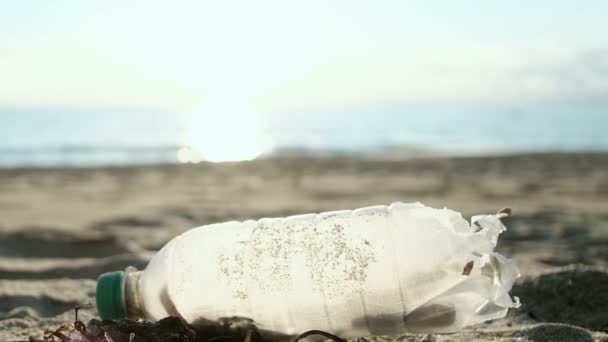 Man vrijwilliger verzamelen plastic fles op zee ecosysteem, milieuvervuiling 4k — Stockvideo
