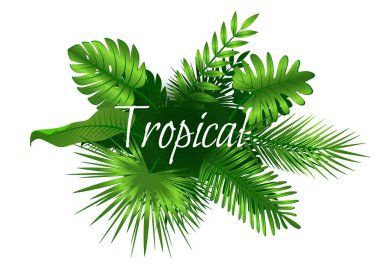 Tropical leaves background. clipart