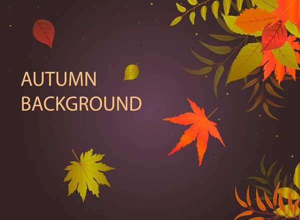 Herbst Hintergrund mit abgefallenen Blättern. — Stockvektor