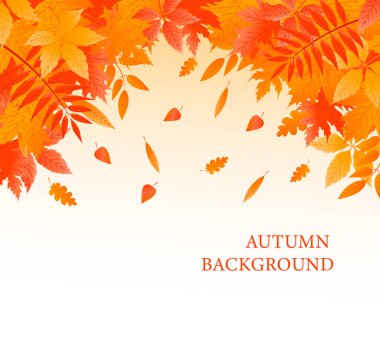 Düşen yapraklarla sonbahar arkaplanı.