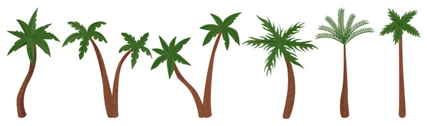 Palmiye ağaçları vektör çizim. — Stok Vektör