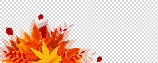 Őszi levelek őszi. — Stock Vector