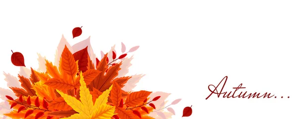 Feuilles d'automne automne . — Image vectorielle