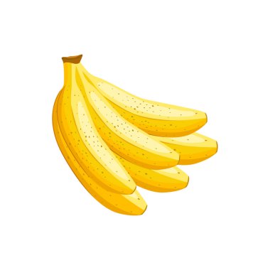 Muz vektör illüstrasyonu.