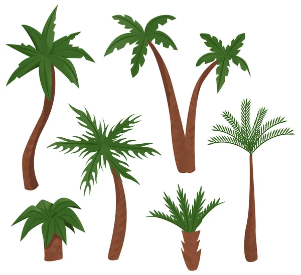 Palm bomen vectorillustratie. — Stockvector