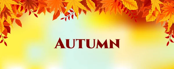 Hojas de otoño otoño . — Vector de stock