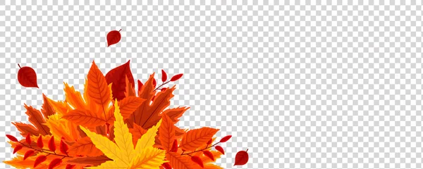 Feuilles d'automne automne . — Image vectorielle