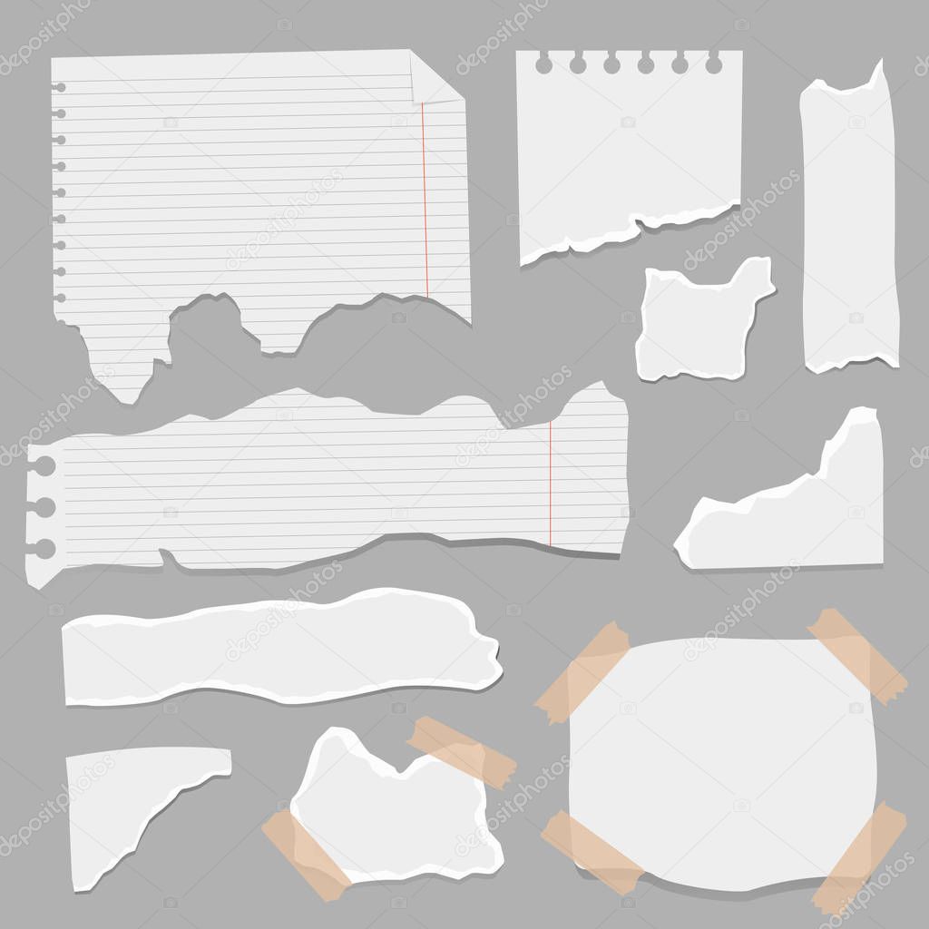 Set of paper different shapes scraps.