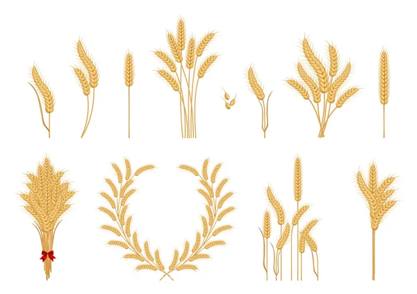 Пшениця вуха іконки — стоковий вектор