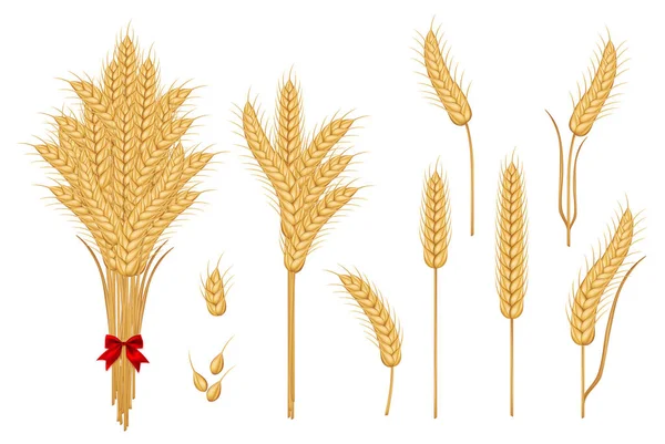 Пшениця вуха іконки — стоковий вектор