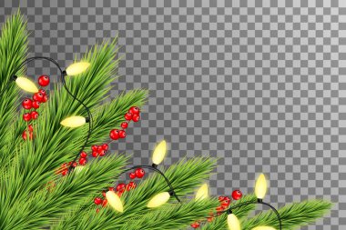 Noel ışıkları izole